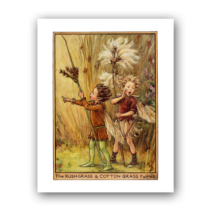 The Rush-Grass & Cotton-Grass Fairies 11x14" Art Print