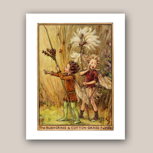 The Rush-Grass & Cotton-Grass Fairies 11x14" Art Print
