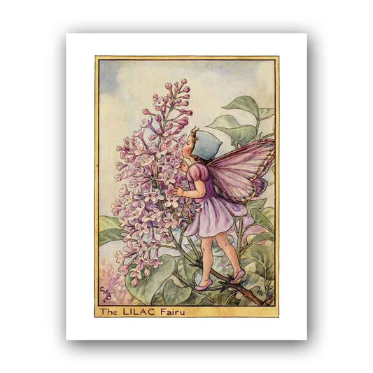 The Lilac Fairy 11x14" Art Print
