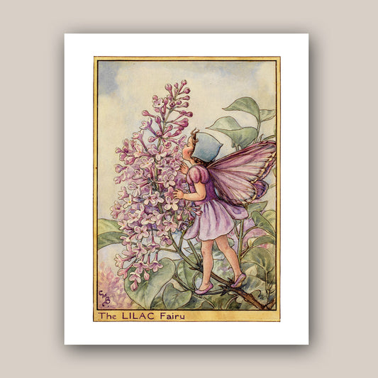 The Lilac Fairy 11x14" Art Print