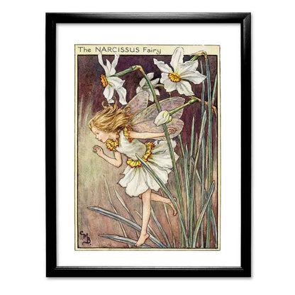 The Narcissus Fairy 11x14" Art Print