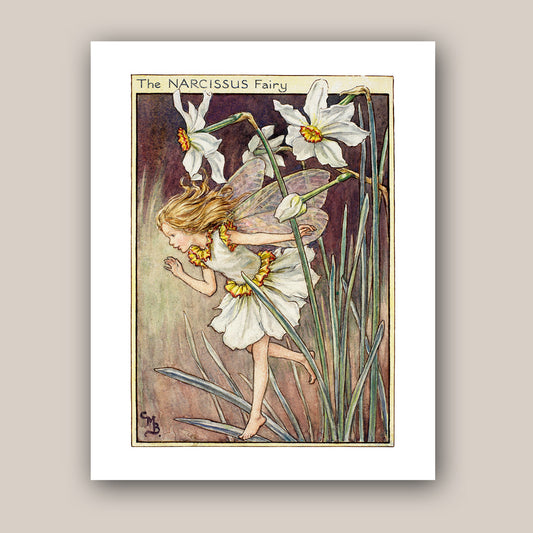 The Narcissus Fairy 11x14" Art Print