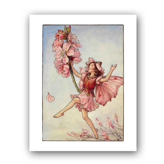The Almond Blossom Fairy 11x14" Art Print