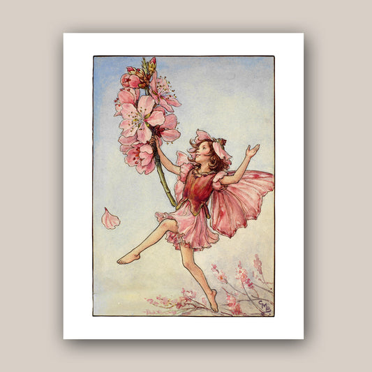 The Almond Blossom Fairy 11x14" Art Print