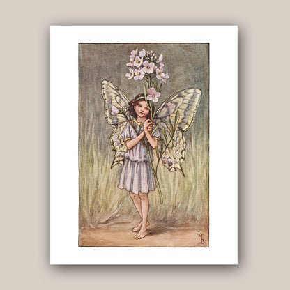 The Lady's Smock Fairy 11x14" Art Print
