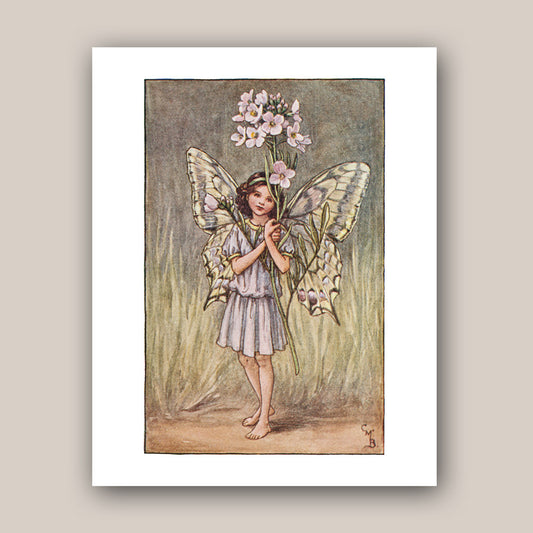 The Lady's Smock Fairy 11x14" Art Print