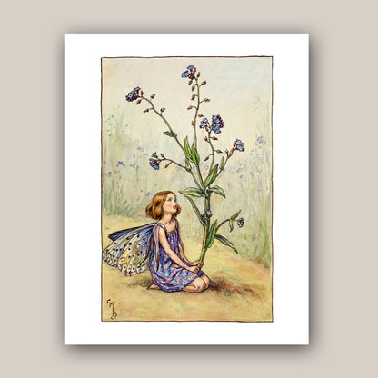 The Forget-me-not Fairy 11x14" Art Print