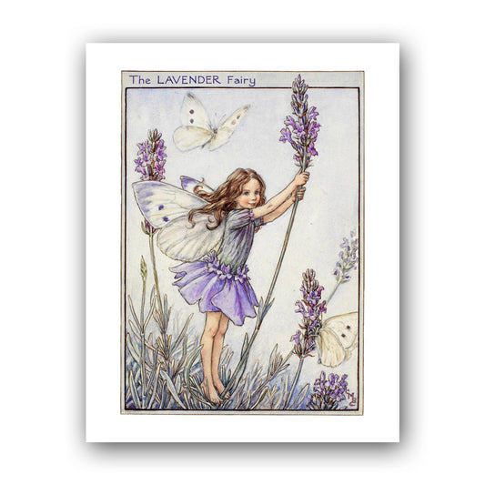 The Lavender Fairy 11x14" Art Print